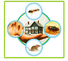 images Pest Control Services