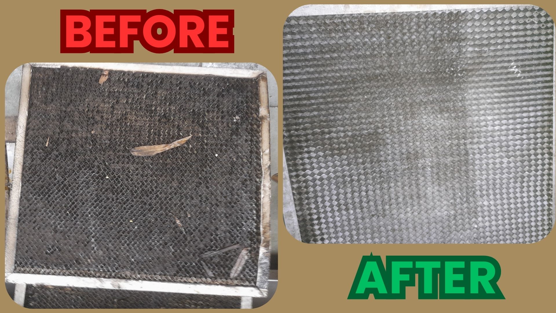 Filter Cleaning Services