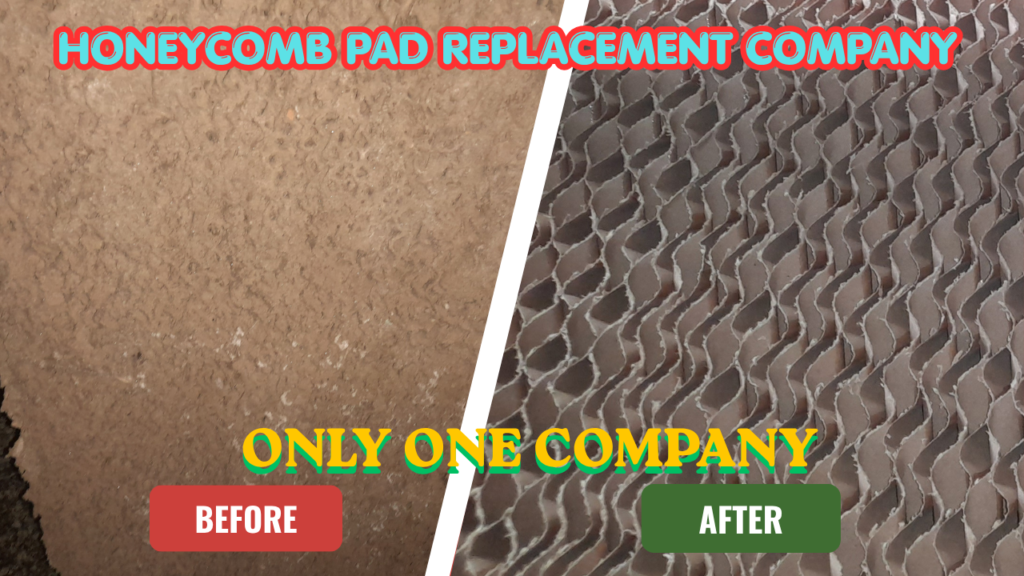 Honeycomb Pad Replacement Company